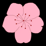 WWW,av950·COM网站APPAPP应用